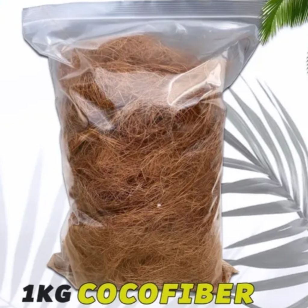 Coco fiber 1kg. serabut kelapa. sabut kelapa. cocofiber