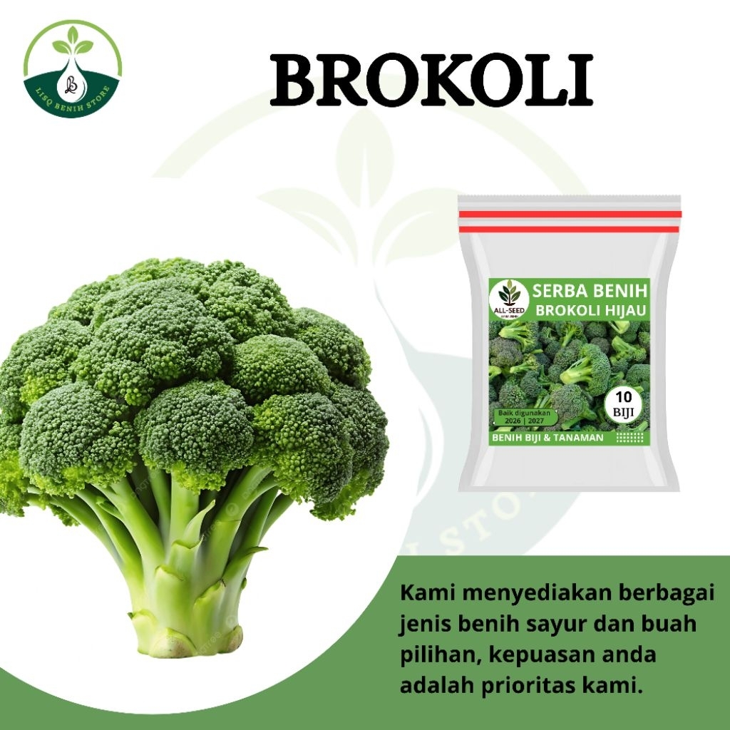 { 10 BIJI } Benih brokoli / bibit brokoli hijau