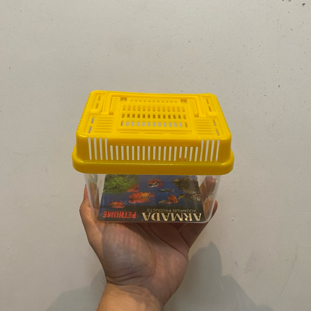 BOX KURA KURA KOTAK TURTLE KURA KURA DAN IKAN HIAS MINI