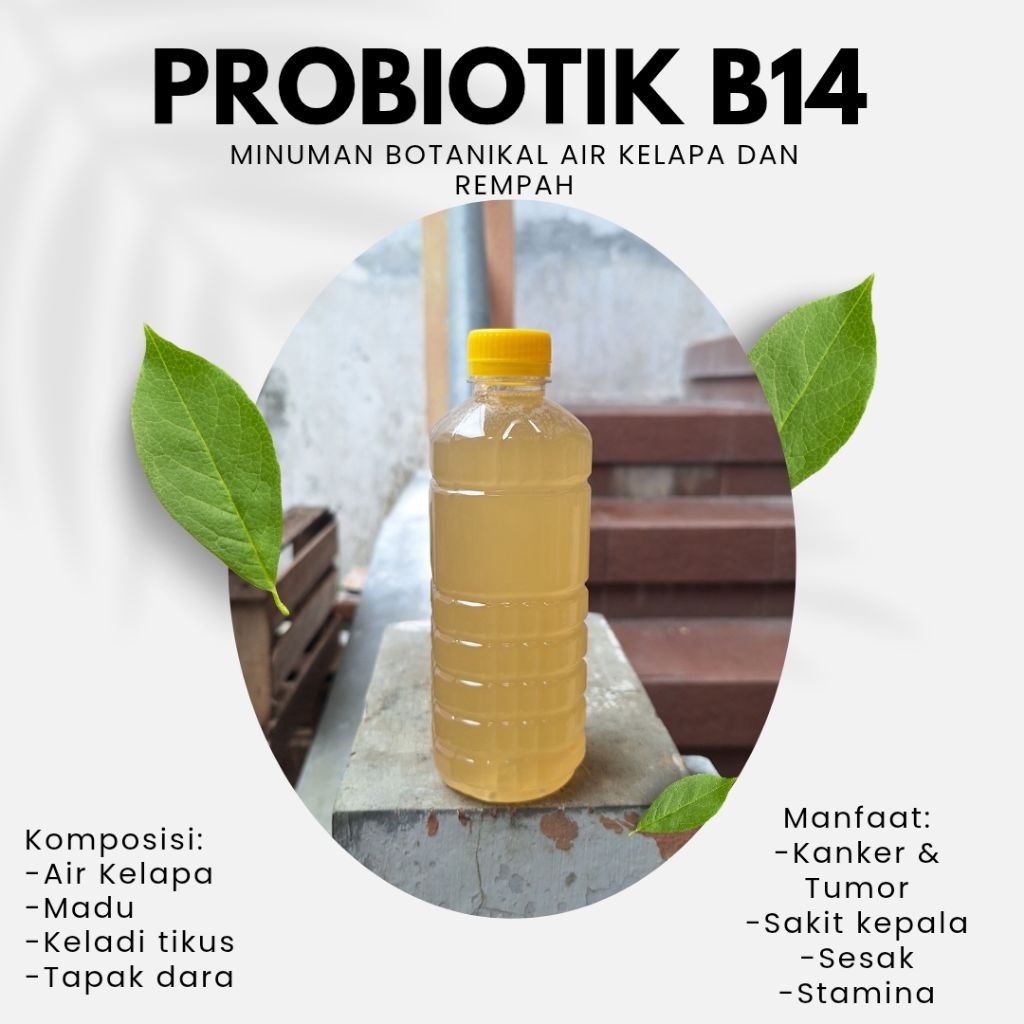 PROBIOTIK B14/G14 untuk kanker,tumor,stamina,sakit kepala.