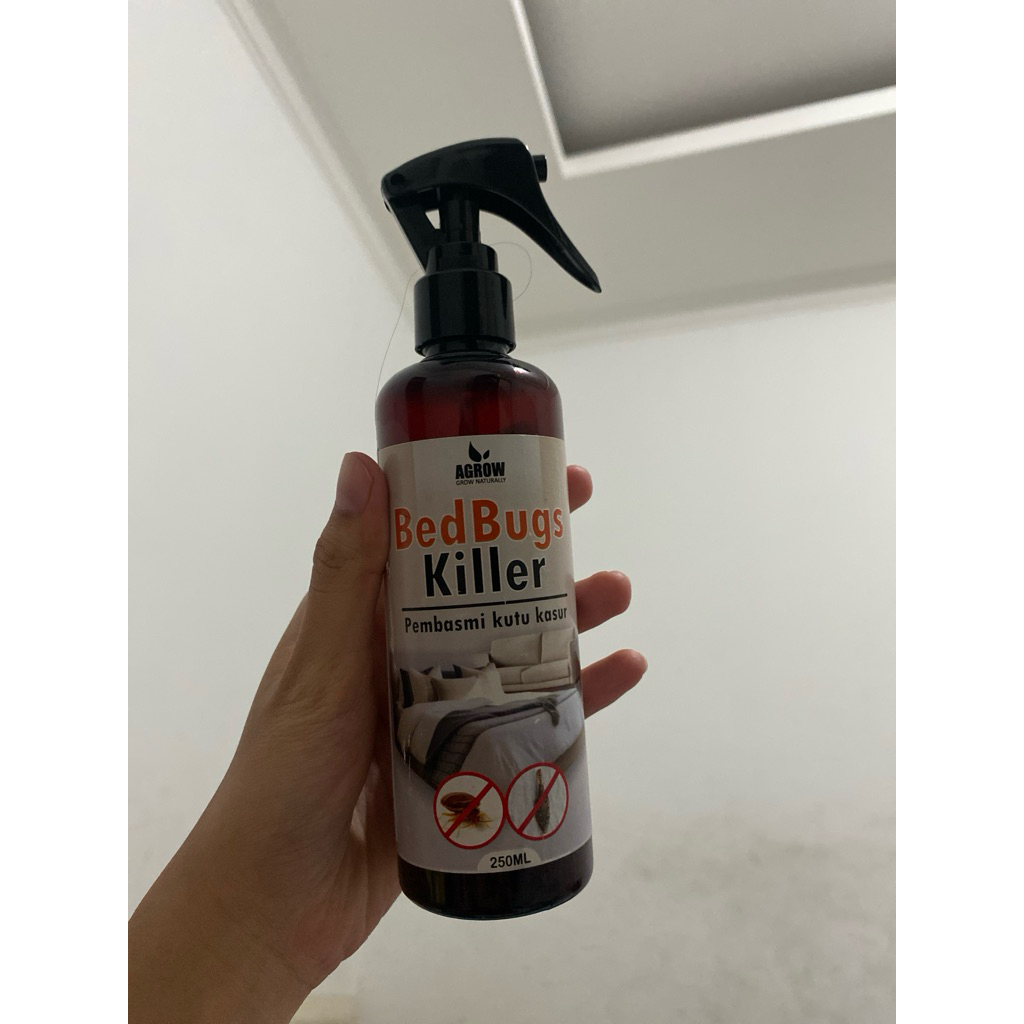 Pembasmi kutu kasur