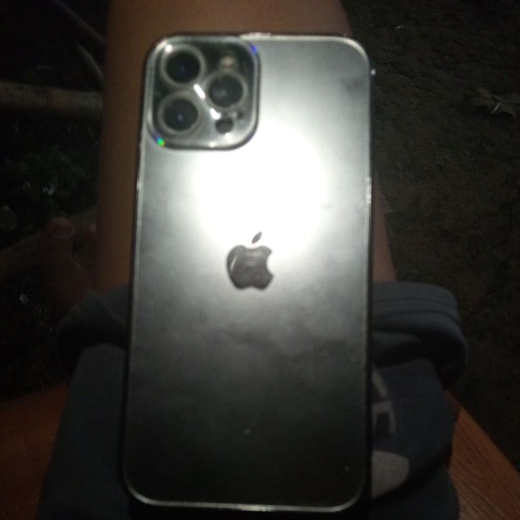 iPhone Pro12