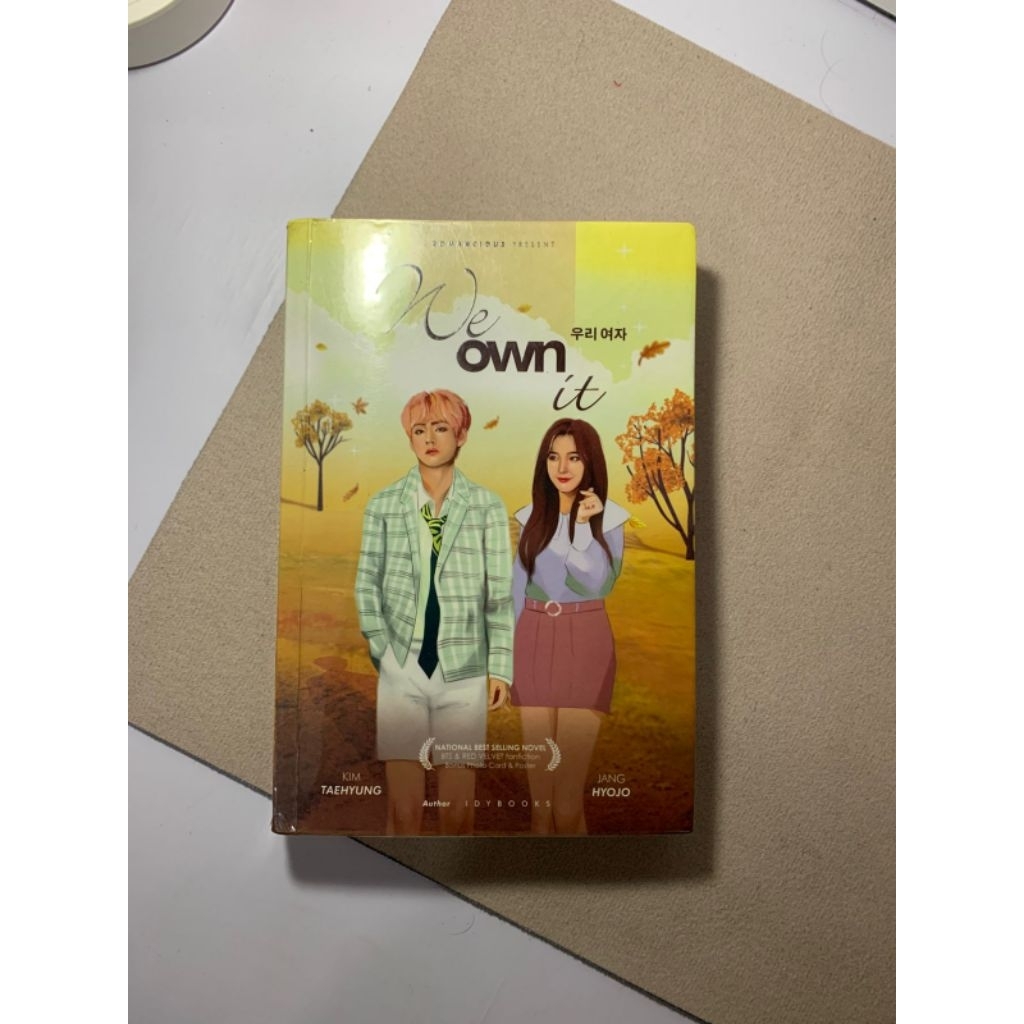 NOVEL WE OWN IT IDYBOOKS - SC - PRELOVED