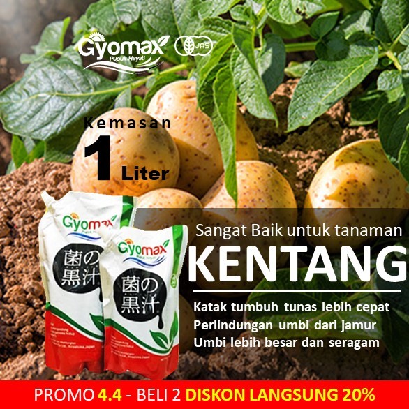 PUPUK KENTANG - GYOMAX - 1 LITER