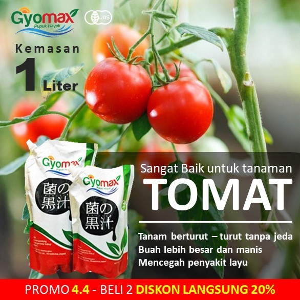 PUPUK TOMAT - GYOMAX - 1 LITER