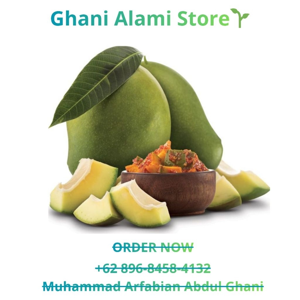 [PREMIUM] Mangga Apel Muda Mentah 1kg Cocok Untuk Rujak