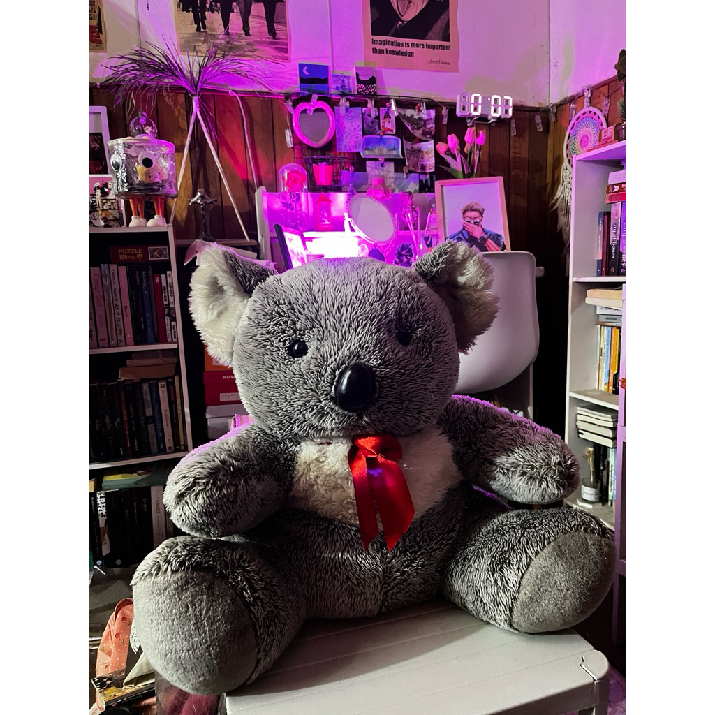 boneka koala besar