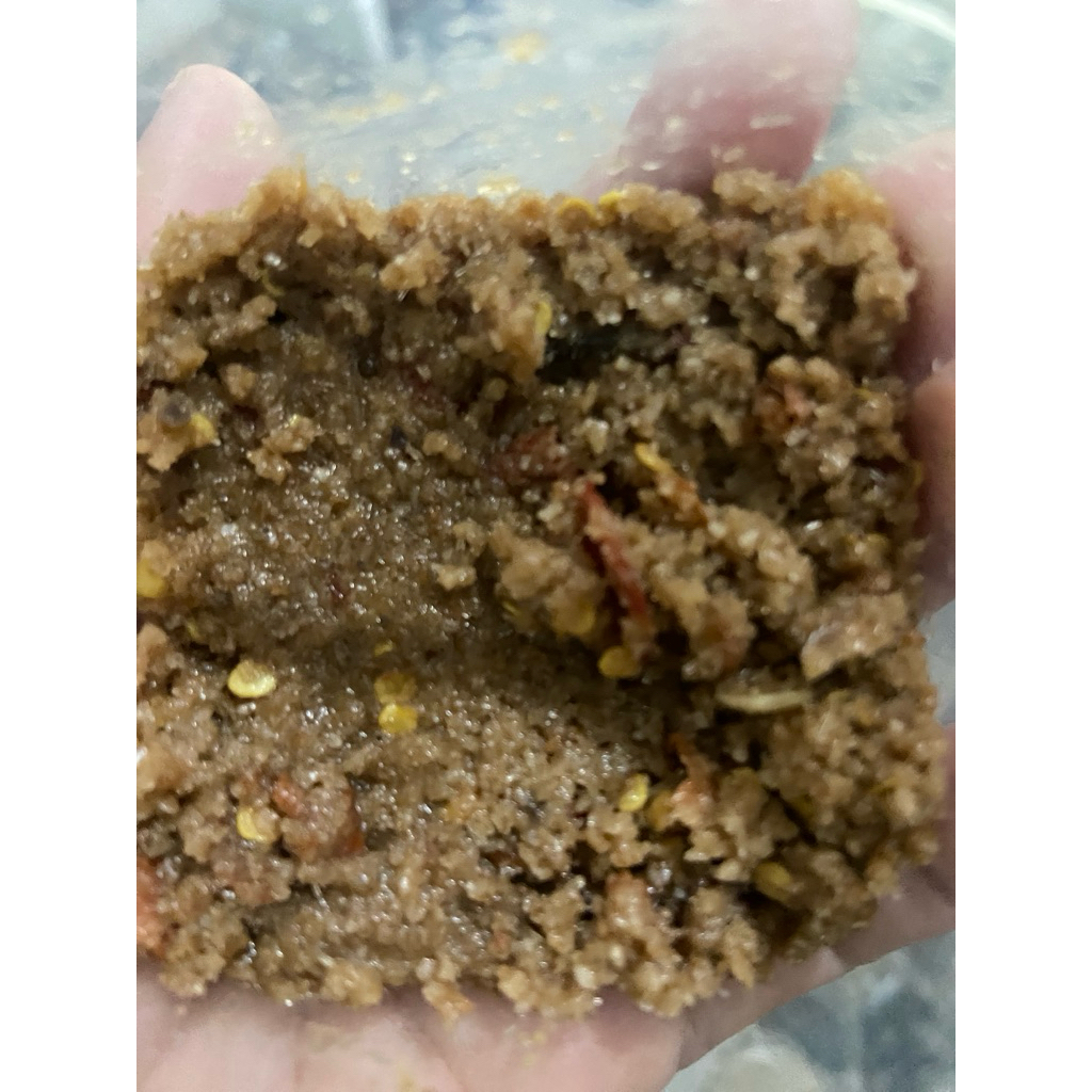 uyah pencok mamatoboy