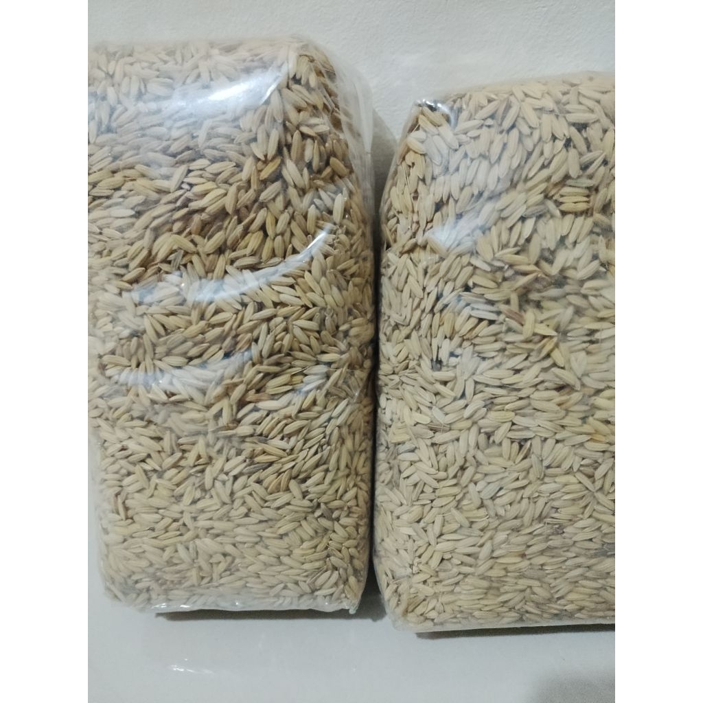 gabah padi cupat manggu beras merah 500 gram