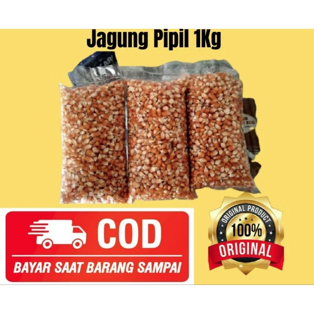 Jagung Pipil Kering 1kg-500gr Pakan Ayam / Pakan Ternak Berkualitas