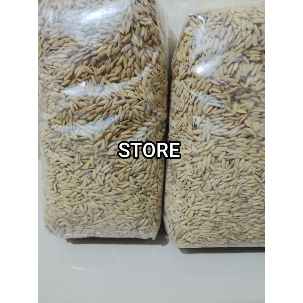 PADI GABAH BERAS MERAH 500 gram