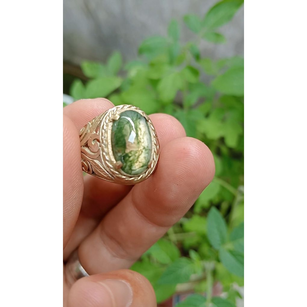 Batu Akik lumut suliki