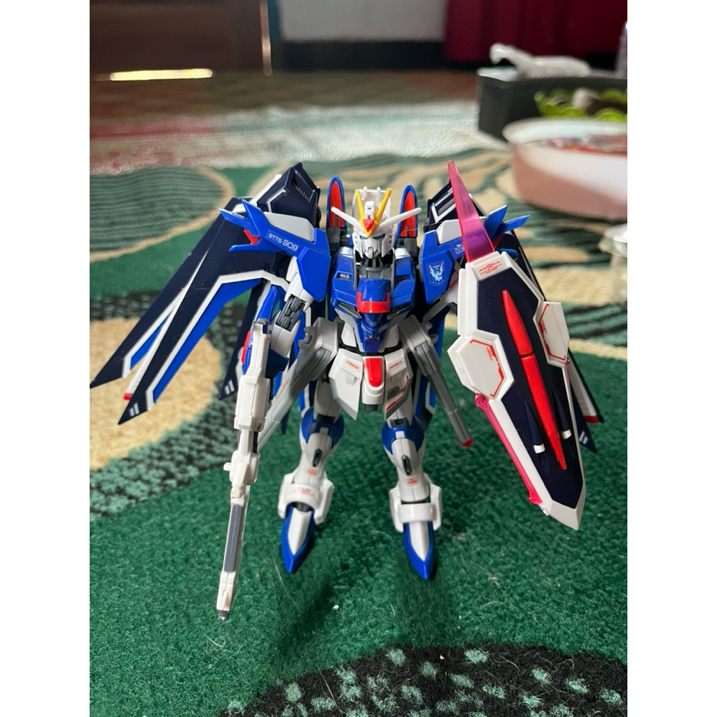 HG Rising Freedom Fighter 243