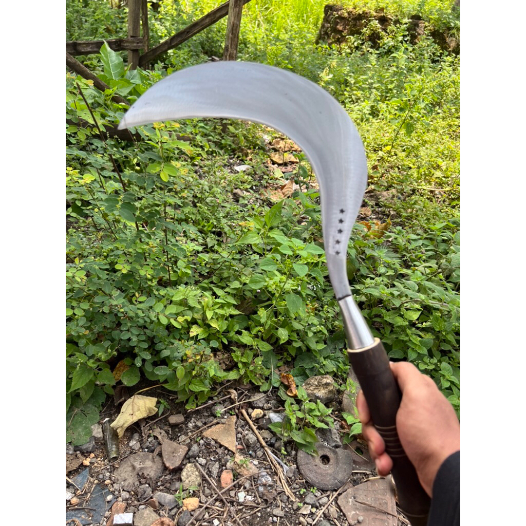 sabit rumput bintang lima Madura