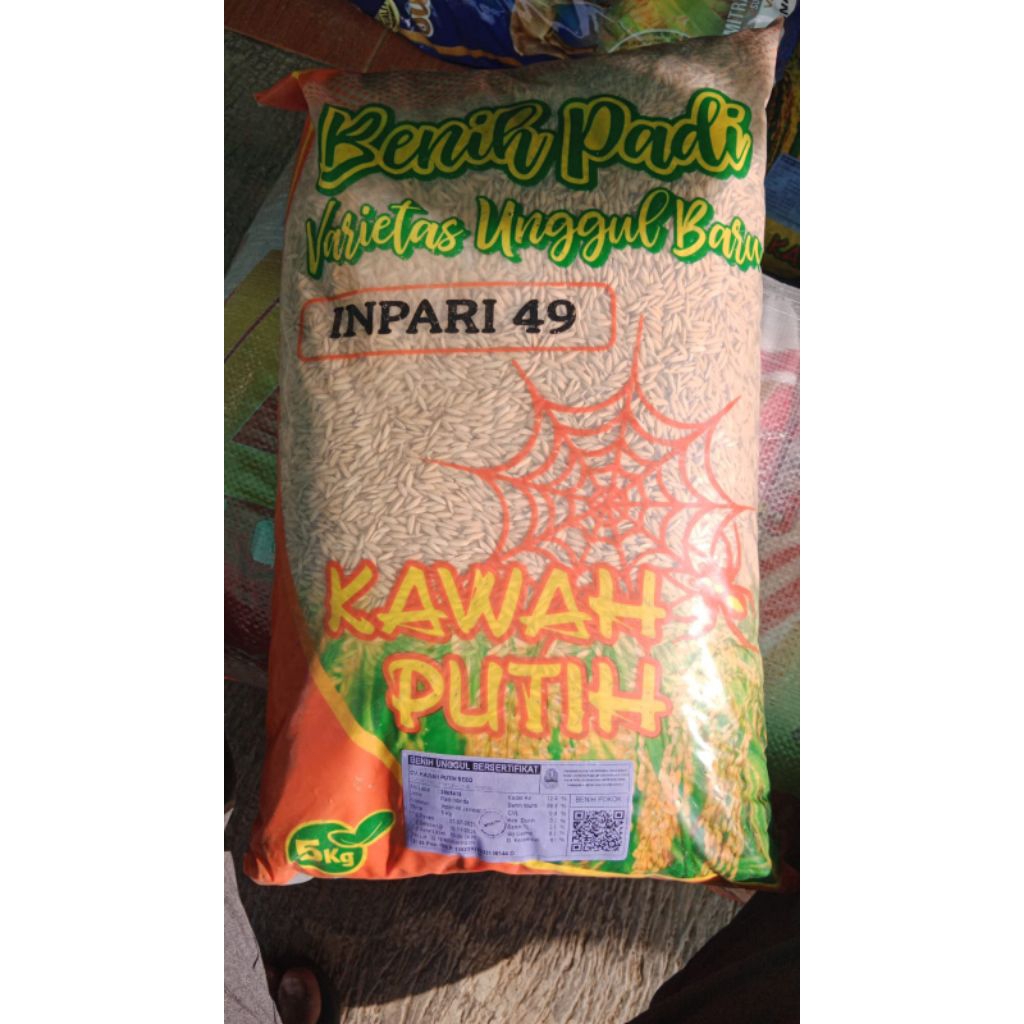 Benih padi Inpari 49 jembar