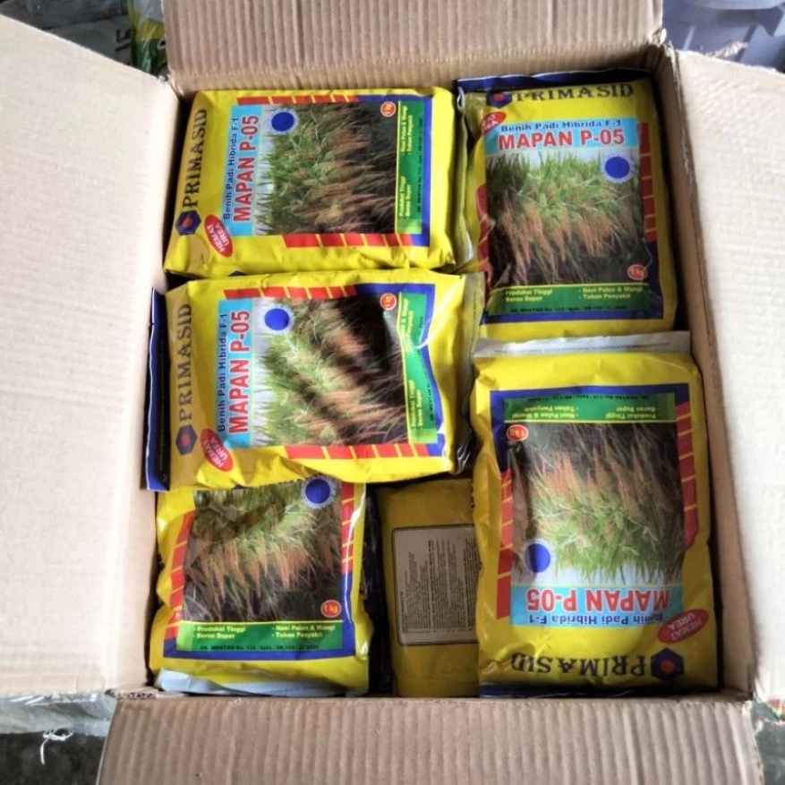 TERLARIS BIBIT BENIH PADI HIBRIDA F-1 MAPAN P-05 ASLI 100% KEMASAN PABRIK
