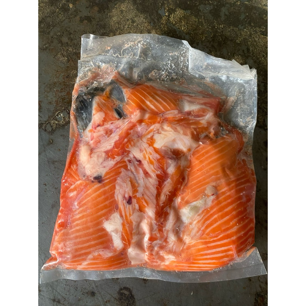 Tetelan ikan salmon
