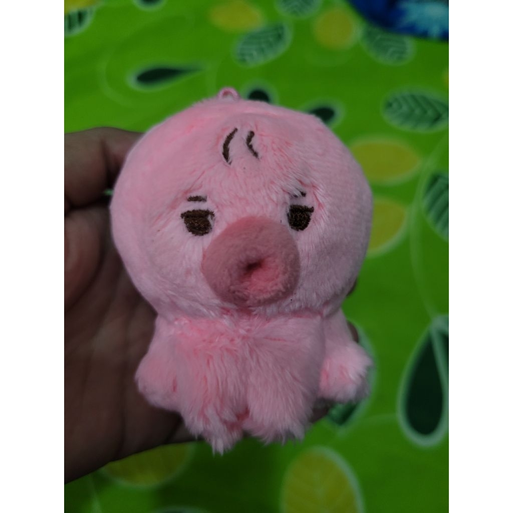 [READY] Tteonko Doll | Doll Sunwoo The Boyz