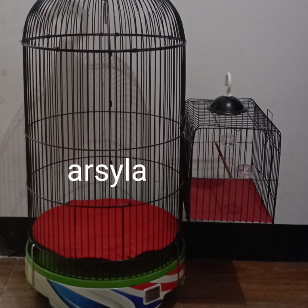 kandang untulan burung sogon konin multifungsi sss