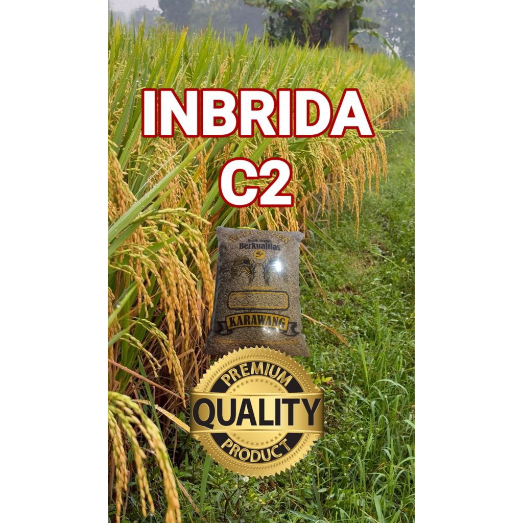 (5KG)BENIH PADI inbrida C2 Original preium