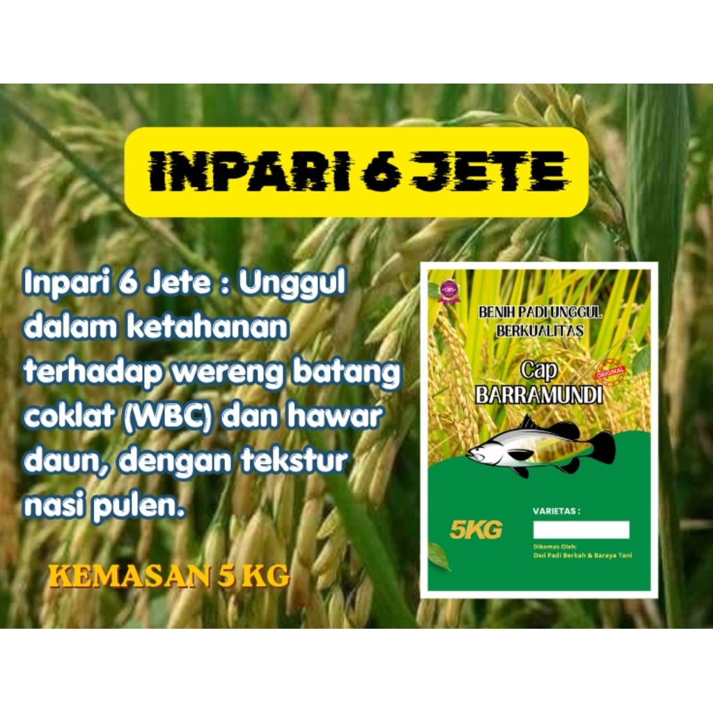 INPARI 6 JETE Benih Padi Unggul VARIETAS terbaik 2025 Kemasan 5kg