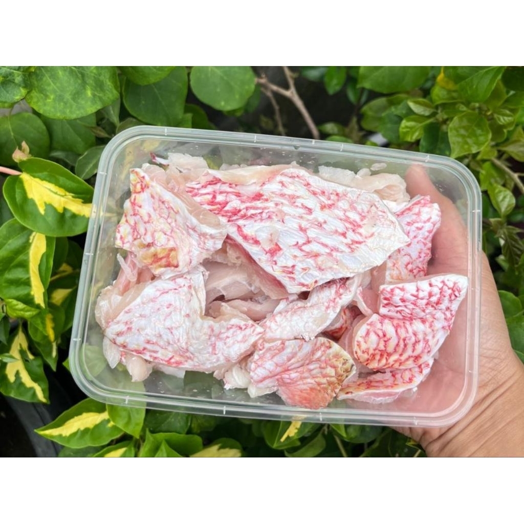 IKAN KAKAP MERAH TETELAN POTONGAN