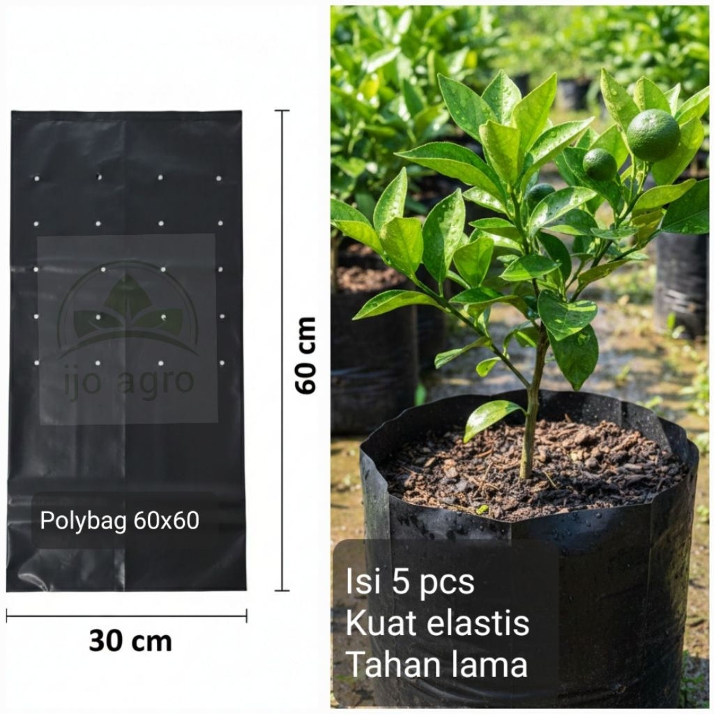 polybag / polibek besar ukuran 60x60 (isi 5 lembar)