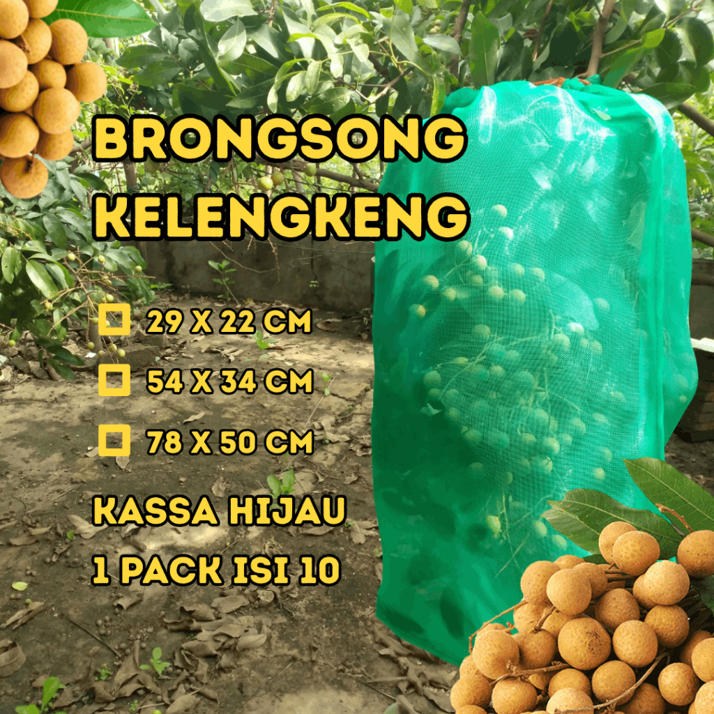 Brongsong Buah Kelengkeng 2 Tali Anti Hama Kassa Hijau Kuat Fruit Cover Isi 10 Kecil Sedang Besar