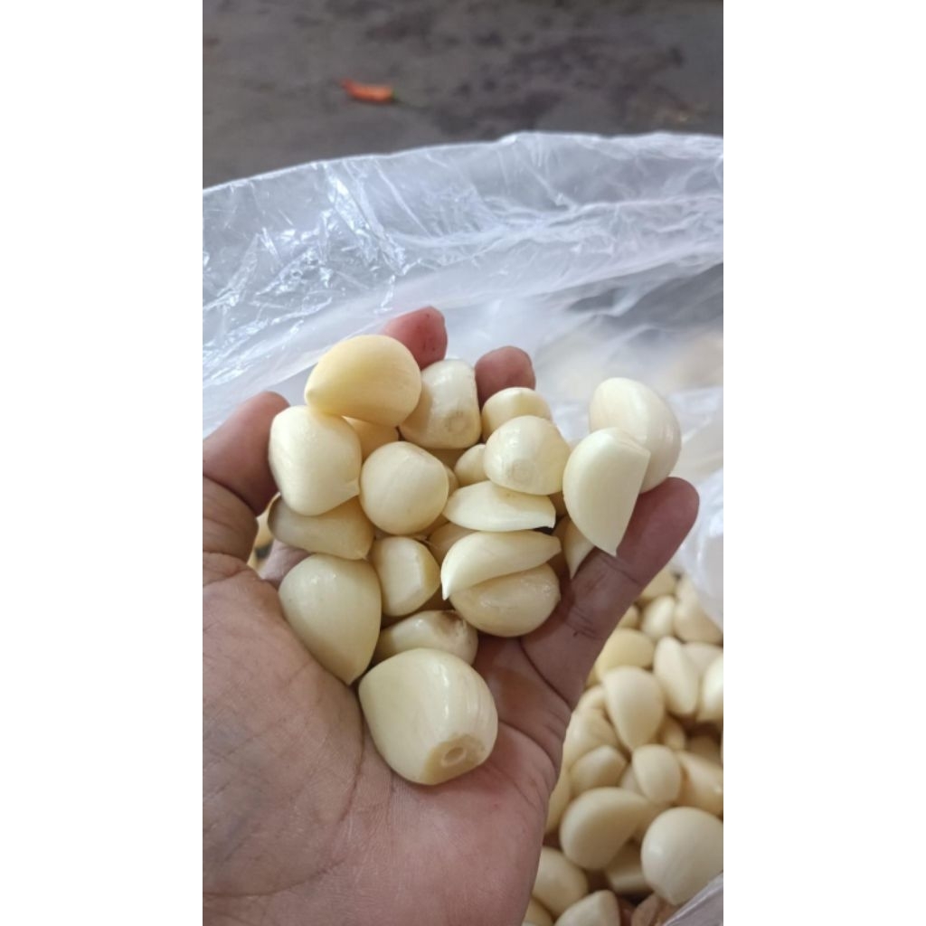 bawang putih kating kupasan 1kg