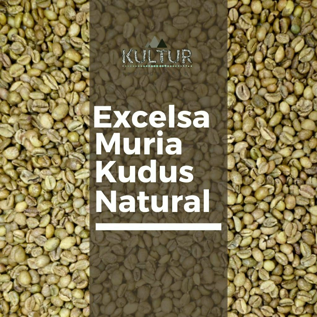 GREEN BEAN KOPI MENTAH EXCELSA MURIA KUDUS NETTO 1 KG