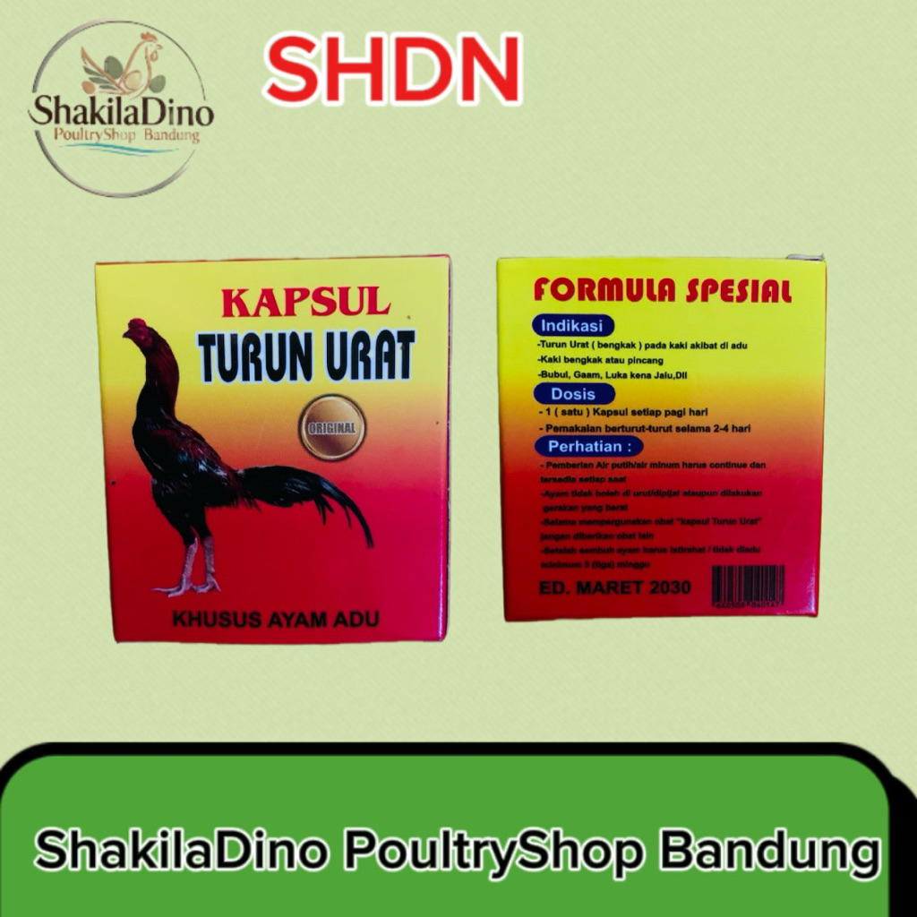 Formula Kapsul Turun Urat Ayam Aduan Original