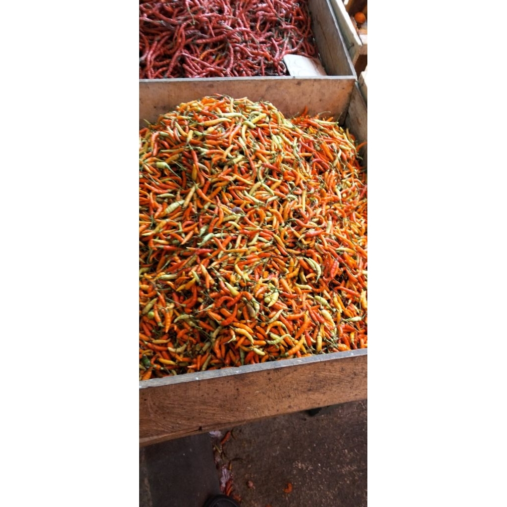 cabe rawit 1kg