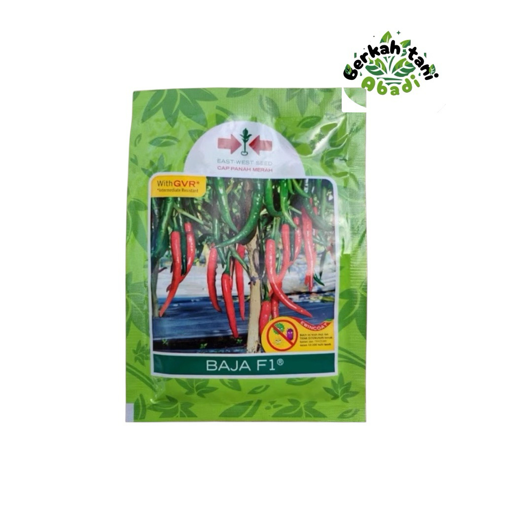 Benih Cabai Baja F1 benih cabai merah panah merah