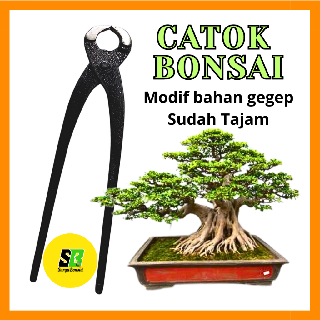 Catok Bonsai Krekut Catut Murah Berkualitas Tajam Siap Pakai