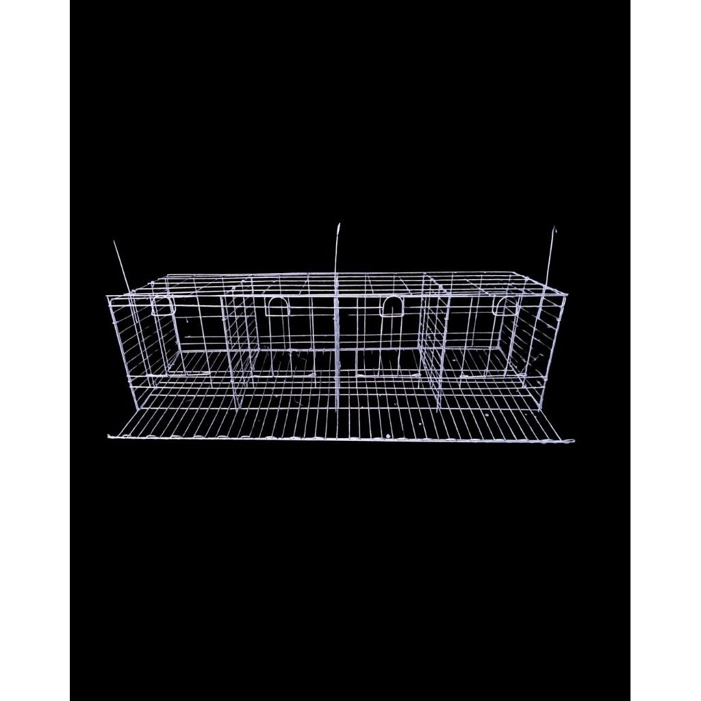 kandang ayam petelur pintu 4