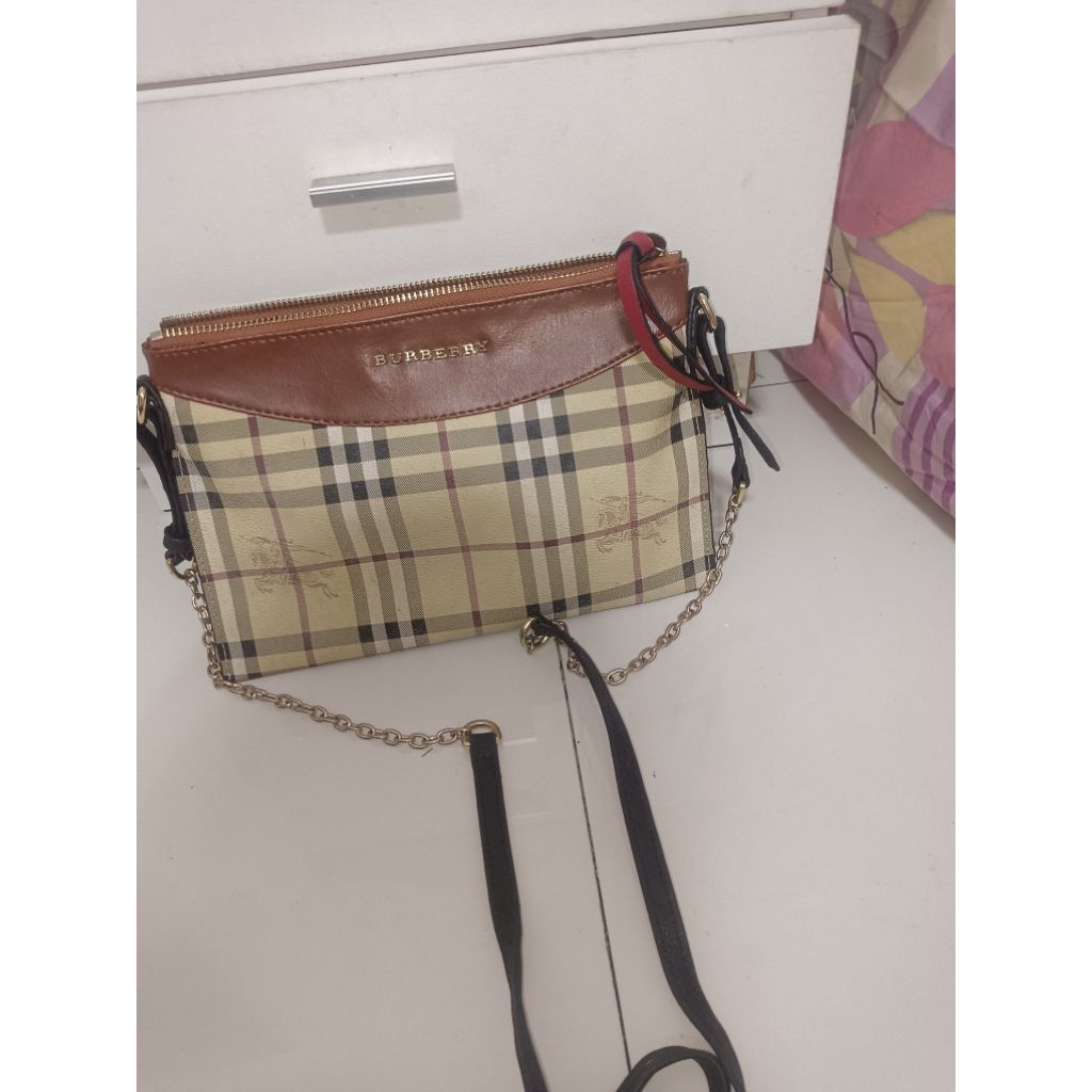 tas blueberry