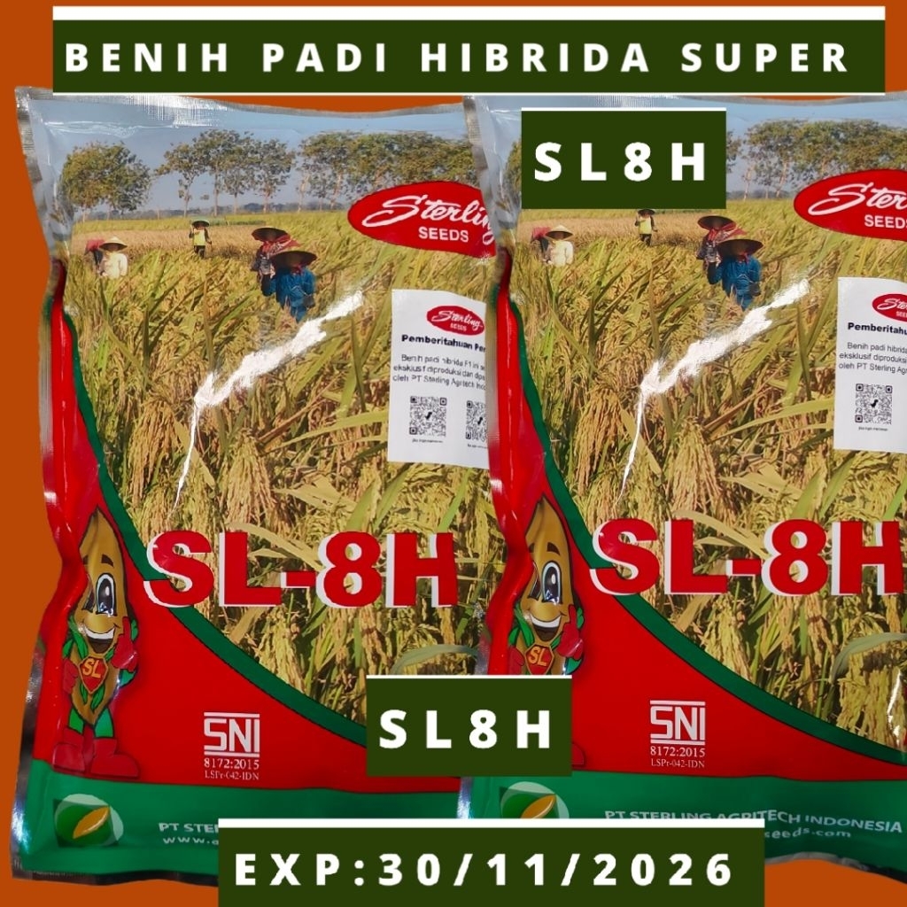 Benih Padi Hibrida SL8H Super – Potensi Panen Tinggi & Tahan Rebah