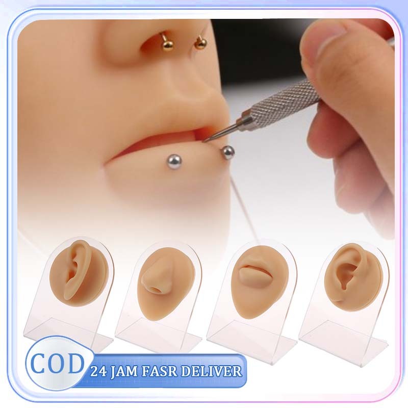 Alat Peraga Tindik Model Telinga Silikon Alat Bantu Mengajar Piercing Telinga Manusia Palsu Bahan Si