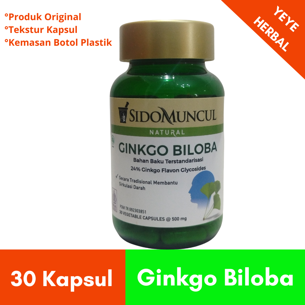 Ginkgo Biloba Sidomuncul