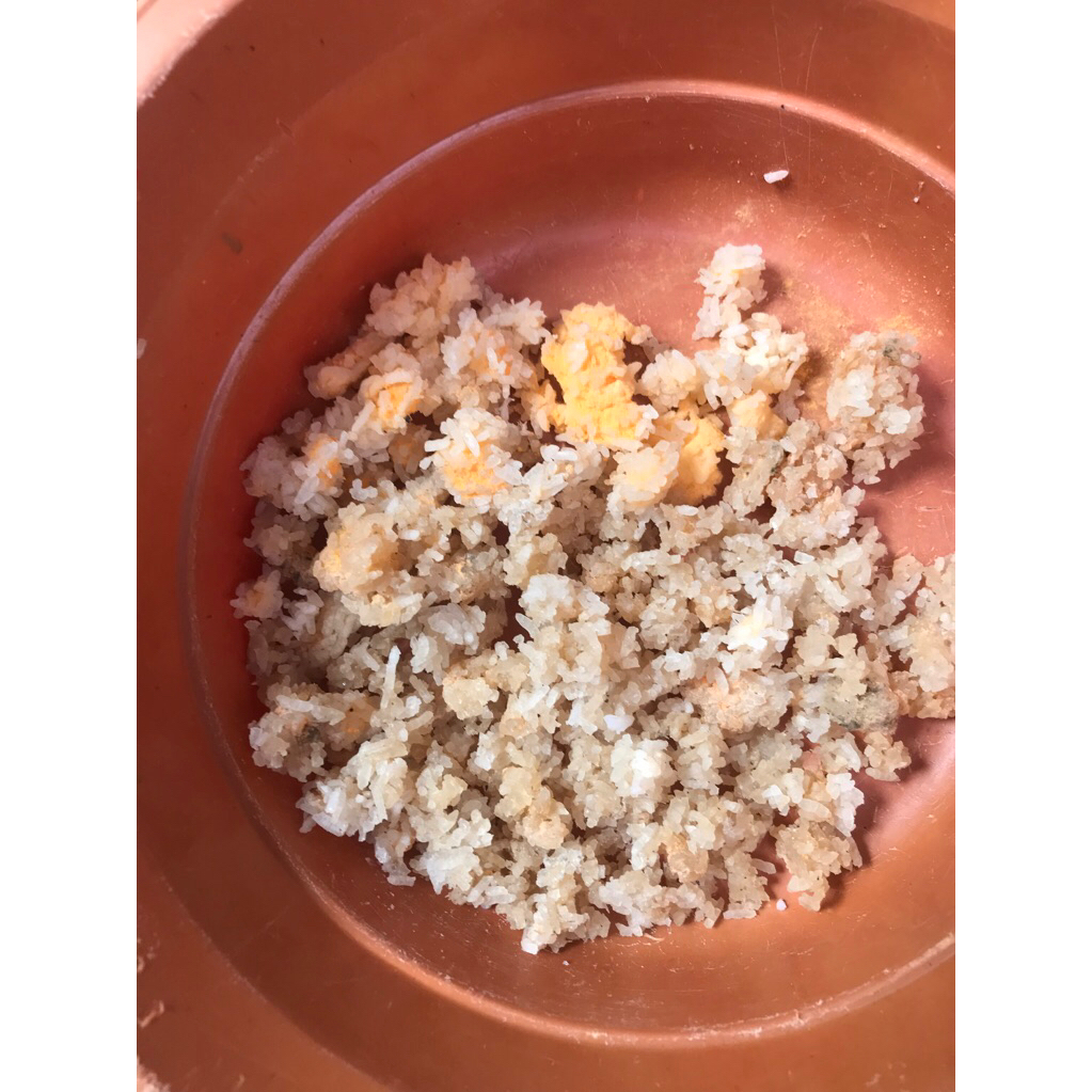 [TERMURAH] NASI AKING UNTUK PAKAN AYAM