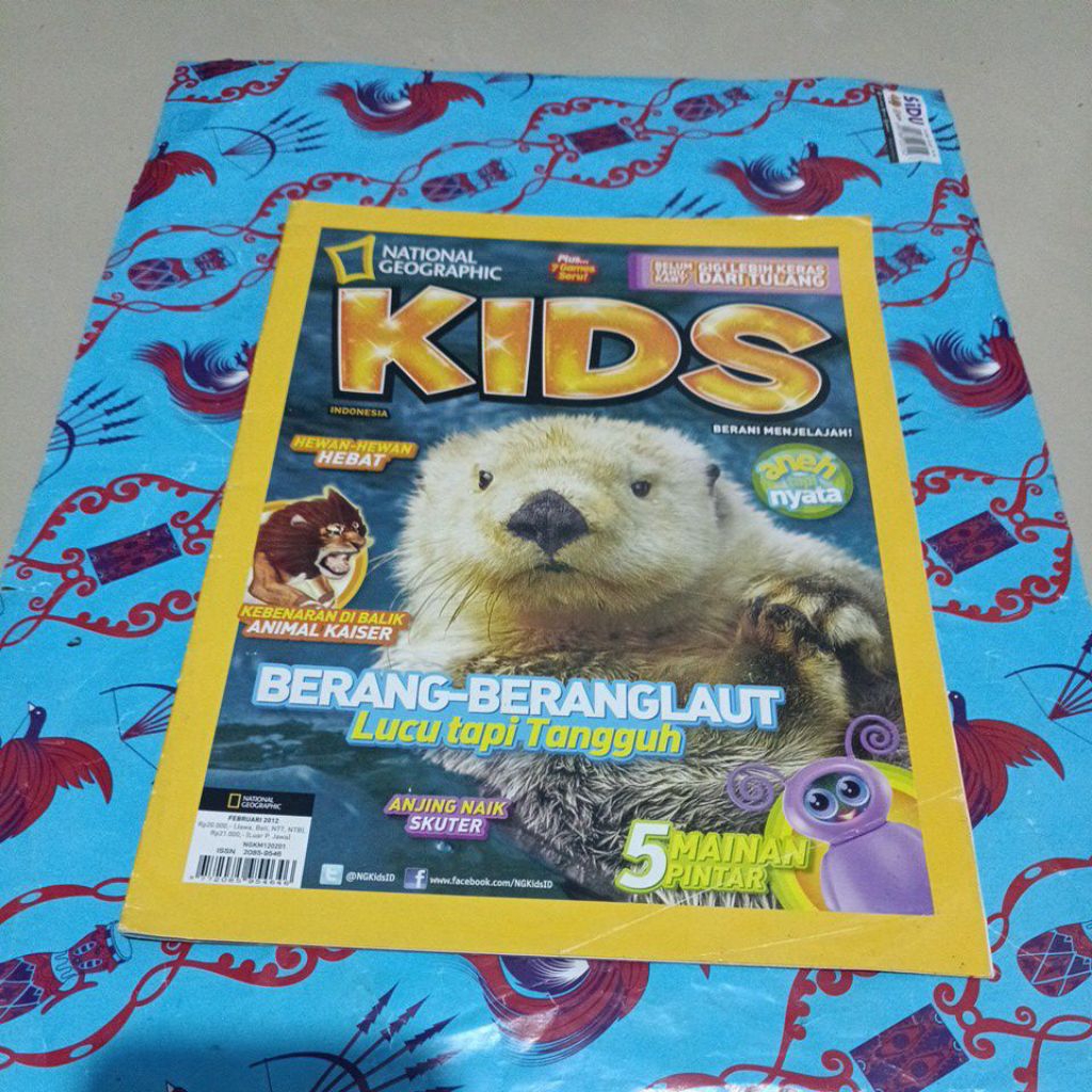 Majalah National Geographic kids - Berang berang Laut, lucu tapi tangguh