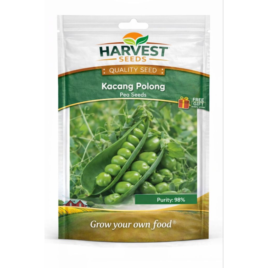 Benih Sayuran Kacang Polong Berkualitas isi 40 benih
