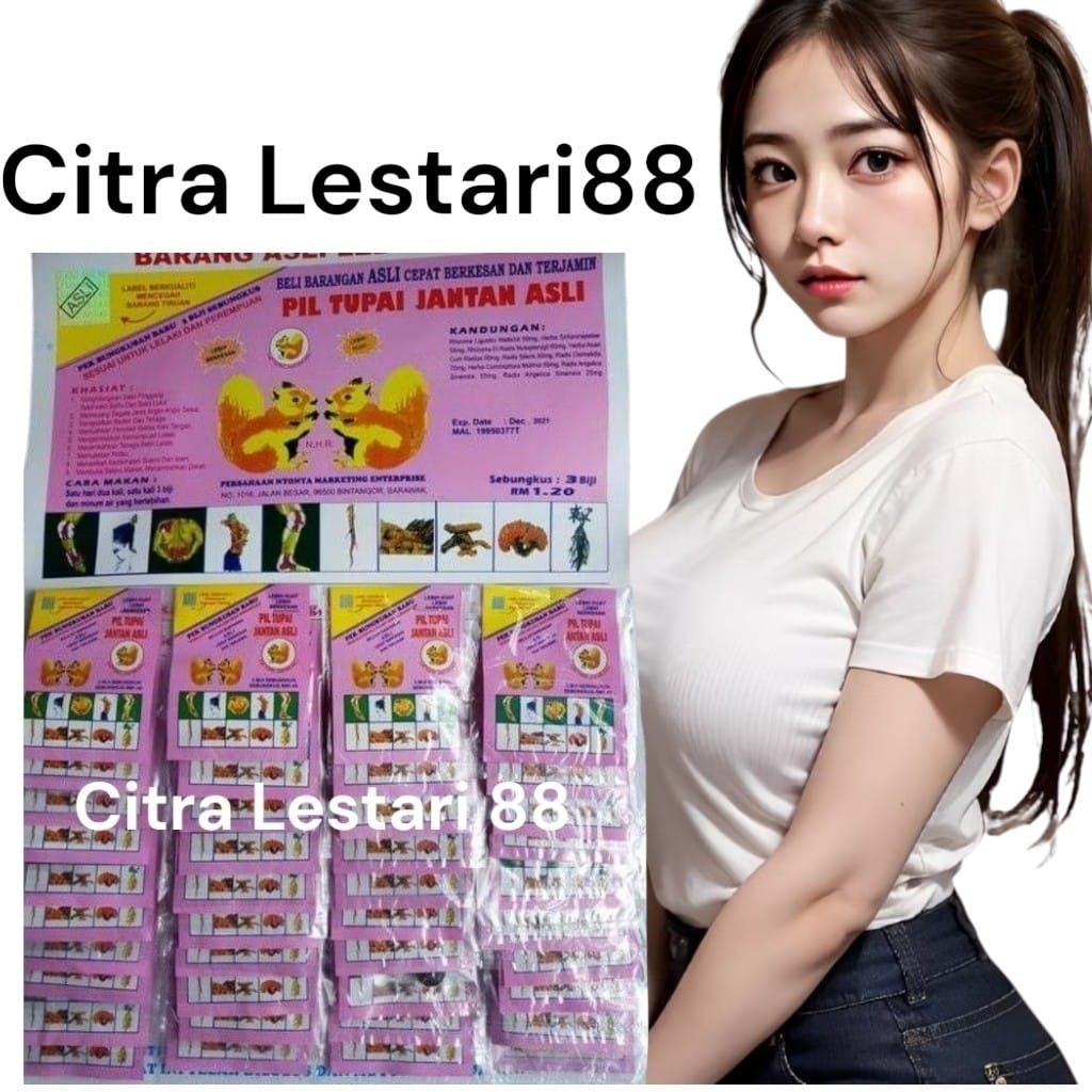 Pil Tupai Jantan Asli - Herbal Kuat Badan, Pereda Nyeri, dan Penambah Stamina