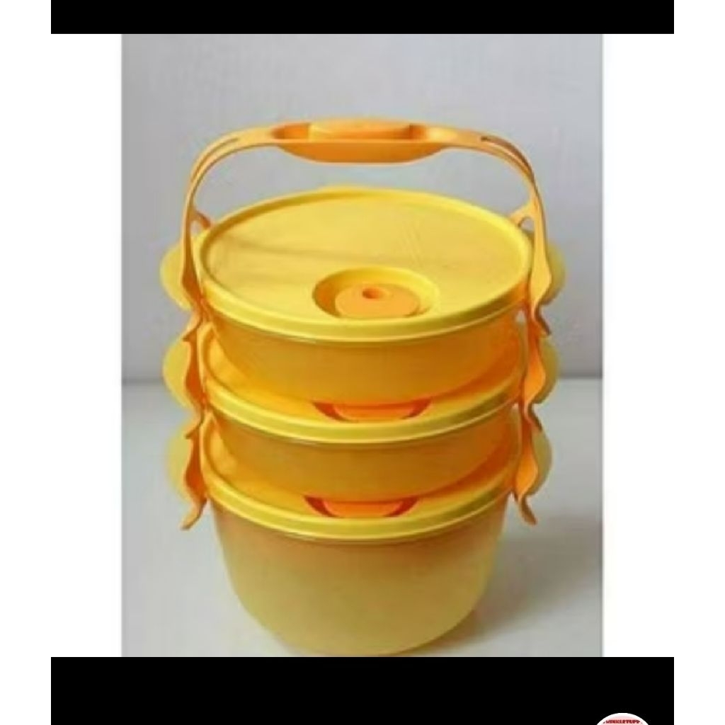 carry all bowl tupperware