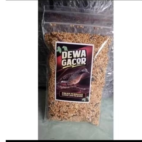 PAKAN PERKUTUT DEWA GACOR PAKAN PERKUTUT GACOR PAKAN PERKUTUT JAHAT PAKAN PERKUTUT GACOR MANGGUNG