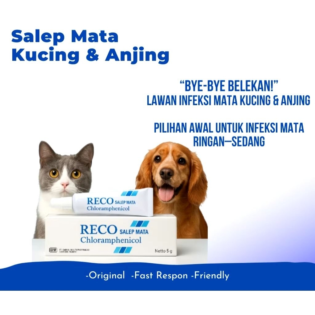 Salep Mata Kucing Anjing Anti Bakteri | Obat Mata Clamidia Belekan Bengkak & Merah