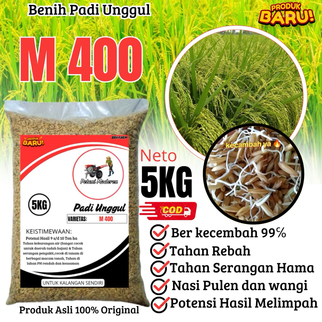 Benih Padi Unggul M400 kemasan 5kg 100% original