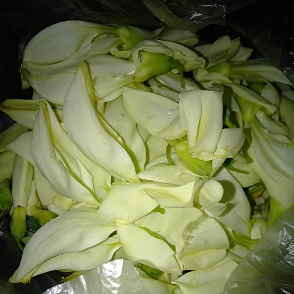 Sayur Kembang/ Bunga Turi segar