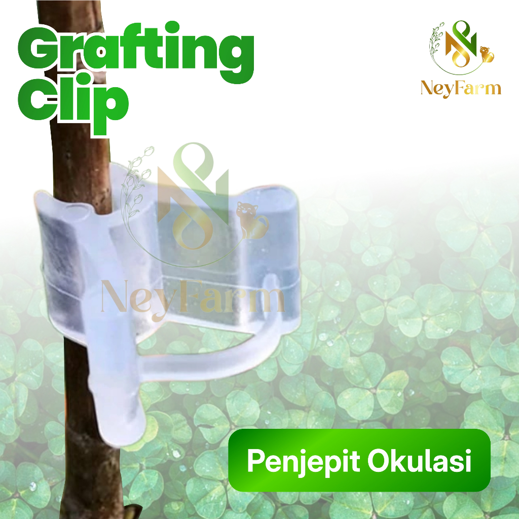 Grafting Clip Penjepit Okulasi Sambung Pucuk Tanaman