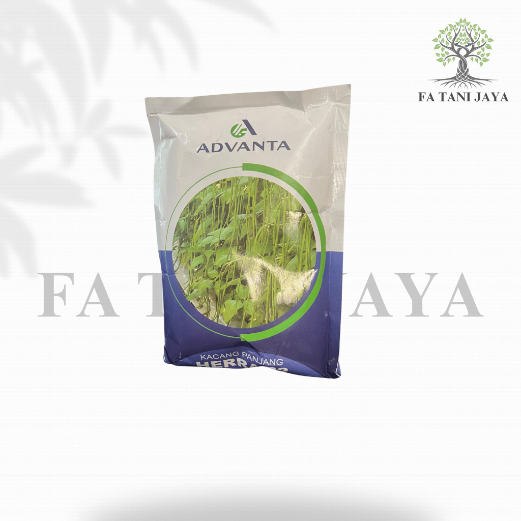 Benih kacang panjang Herra 22 advanta 500 gram
